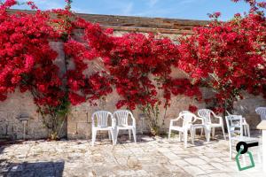 a group of chairs and red flowers on a wall at Hotiday Torre Guaceto in Brindisi