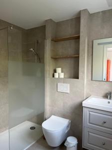 a bathroom with a toilet and a sink and a shower at Villa de charme jardin vue sur montagnes rénovation 2026 in Argelès-Gazost +70 photos