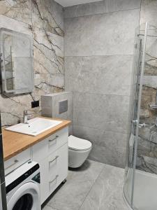 a bathroom with a sink and a toilet and a shower at Mazurska Osada in Januszkowo
