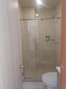 a bathroom with a shower with a toilet and a sink at Hotel Royal Cid Bogota in Bogotá