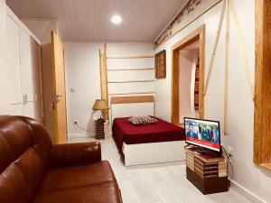 a living room with a couch and a television at Pé do Castelo Casinhas in Tomar