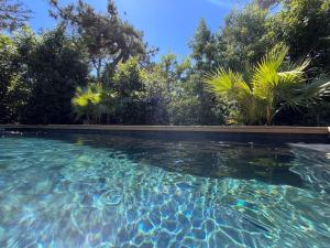 a swimming pool with clear blue water and trees at Authentique Chambre Cabane Cap Ferret Mimbeau in Lège-Cap-Ferret