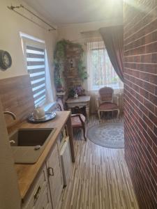 a kitchen with a sink and a brick wall at Pas Ligita in Biržai