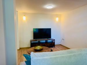 a living room with a couch and a table with a television at Apartmány Palackého in Tábor