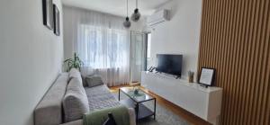 a living room with a couch and a tv at Apartman A&V in Banja Luka