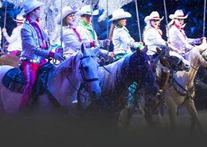 a group of people riding horses in the snow at WP252 Be Our Guest in Pigeon Forge +37 photos