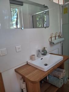a bathroom with a sink and a mirror at l'Annexe, logement confortable avec piscine in Mazan