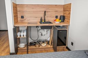 a small kitchen with a counter and a sink at Central Platinum Apartments 12 in Rybnik +27 photos