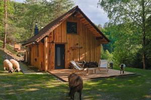 a log cabin with a dog standing in front of it at The Nook - Sauna, Pool, Ice Bath in Celje