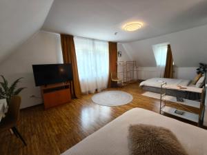 a living room with a bed and a flat screen tv at Baroc Boutique Hotel in Topliţa