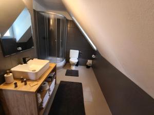 a bathroom with a sink and a toilet at Baroc Boutique Hotel in Topliţa +104 photos