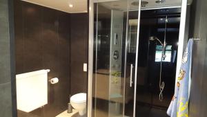 a bathroom with a glass shower with a toilet at Maison Samree met Indoor Wellness in La-Roche-en-Ardenne +10 photos