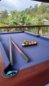 a blue pool table with two balls and a pair of cues at Hostal la Divisa Salento in Arrayanal