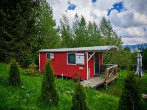 a red tiny house in a field of grass at RED Tiny Houses in Voronet