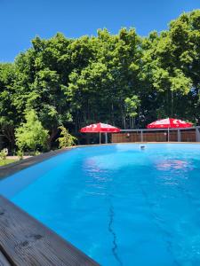 a large swimming pool with umbrellas and trees in the background at Gîte la Baronnière in Saint-Avertin
