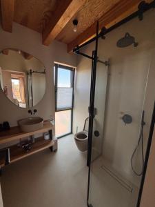 a bathroom with a toilet and a sink and a mirror at Casa Zaan in Sulina