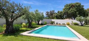 a swimming pool in a yard with trees at La Cigale dans l'Olivier in Vernègues