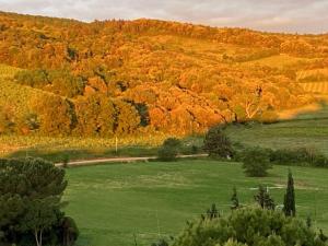 a green field with autumn trees in the background at L'écrin vert in Villelongue-dʼAude