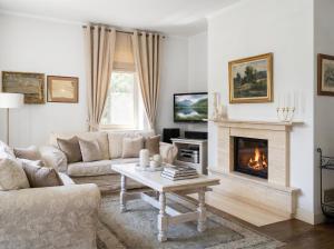 a living room with a couch and a fireplace at Golden Villa Kraków - Stylowa Willa z Ogrodem i Grillem in Węgrzce