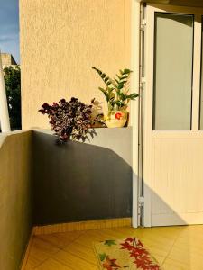 a porch with a door with a plant on it at Seren Apartment in Vlorë