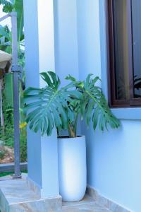 two large white pots sitting next to a window at Cozy haven in Kampala