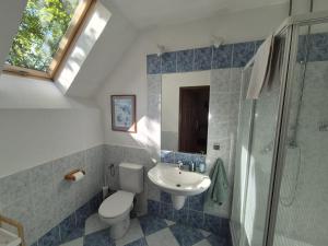 a bathroom with a toilet and a sink and a shower at Ranczo Brusno in Połczyn-Zdrój +170 photos