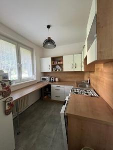 a kitchen with white cabinets and a counter top at Exnárova in Prievoz