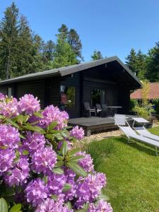 a house with purple flowers in front of it at Ferienhaus 'Albblick' in Starzach