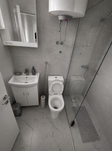 a small bathroom with a toilet and a sink at Apartmani White House in Vrdnik +34 photos