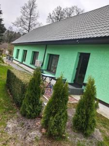 a green house with trees in front of it at Дом у моря in Suurupi
