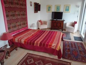 a bedroom with a bed and a tv in it at La Nomade in Andernos-les-Bains