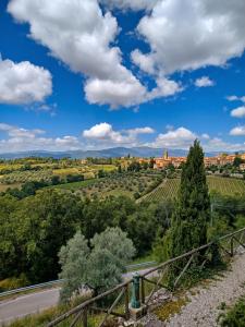 a view of a vineyard with a blue sky and clouds at We Love Umbria in Collazzone