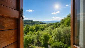 a window view of a forest from a house at We Love Umbria in Collazzone