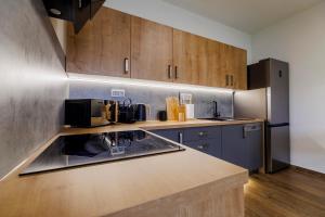 a kitchen with wooden cabinets and a counter top at Apartmán U mlýnu in Červená Voda