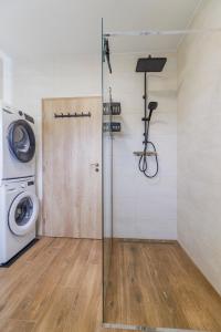 a bathroom with a washing machine and a glass door at Apartmán U mlýnu in Červená Voda +27 photos