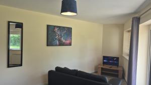a living room with a couch and a picture on the wall at Large two bedroom apartment Athlone in Athlone