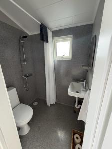 a small bathroom with a toilet and a sink at Lífsbót - riverside cottage in Egilsstaðir