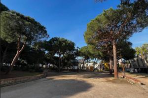 a street with trees on the side of the road at Chic & Cosy in Antibes