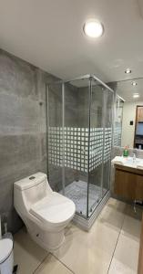 a bathroom with a toilet and a shower and a sink at Hoteles JMC in Antofagasta +17 photos