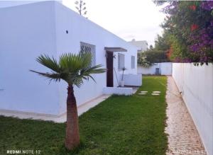 a palm tree in a yard next to a white house at Luxury big House in hearth of Hay Riad with big garden in Rabat