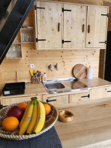 a kitchen with a bowl of fruit on a counter at Omorika Perućac Splav in Gaočići
