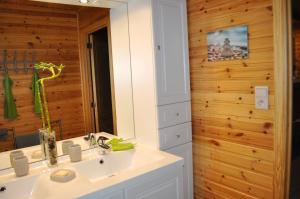 een badkamer met een wastafel en een spiegel bij Les Rochettes - Cailloux 4 in Thier de la Pisserotte