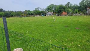 a fence in a field with animals in the distance at Casa soengas in Monterroso +9 photos