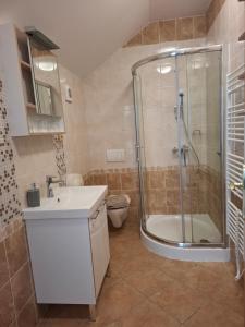 a bathroom with a shower and a sink and a toilet at Penzion Borlitz in Pohořelice