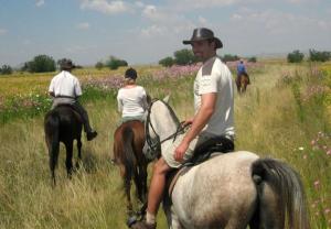 a group of people riding horses in a field at Greens & Dreams in Parys