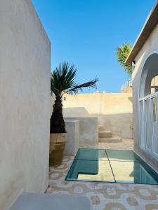 Ein Haus mit einer Topfpalme im Innenhof in der Unterkunft Riad Rafaele & SPA in Marrakesch