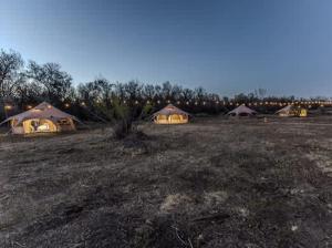 a group of tents in a field at night at Bisti Badlands Tent in Farmington