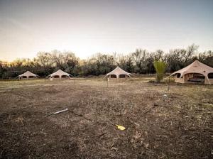 a group of five tents in a field at Bisti Badlands Tent in Farmington