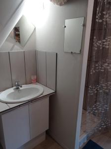a bathroom with a sink and a shower at Studio de charme in Lormes