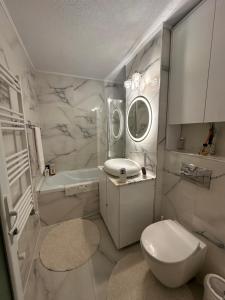 a bathroom with a toilet and a sink and a mirror at Elite Apartaments in Curtea de Argeş